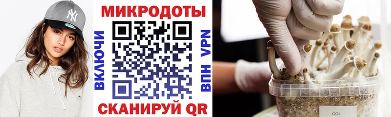 Псилоцибиновые грибы ЛСД  сайты даркнета как зайти  Снежинск  блэк спрут маркетплейс 