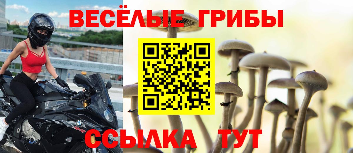 Псилоцибиновые грибы GOLDEN TEACHER  Вход с VPN  продажа наркотиков  Снежинск  Псилоцибиновые грибы мухоморы 